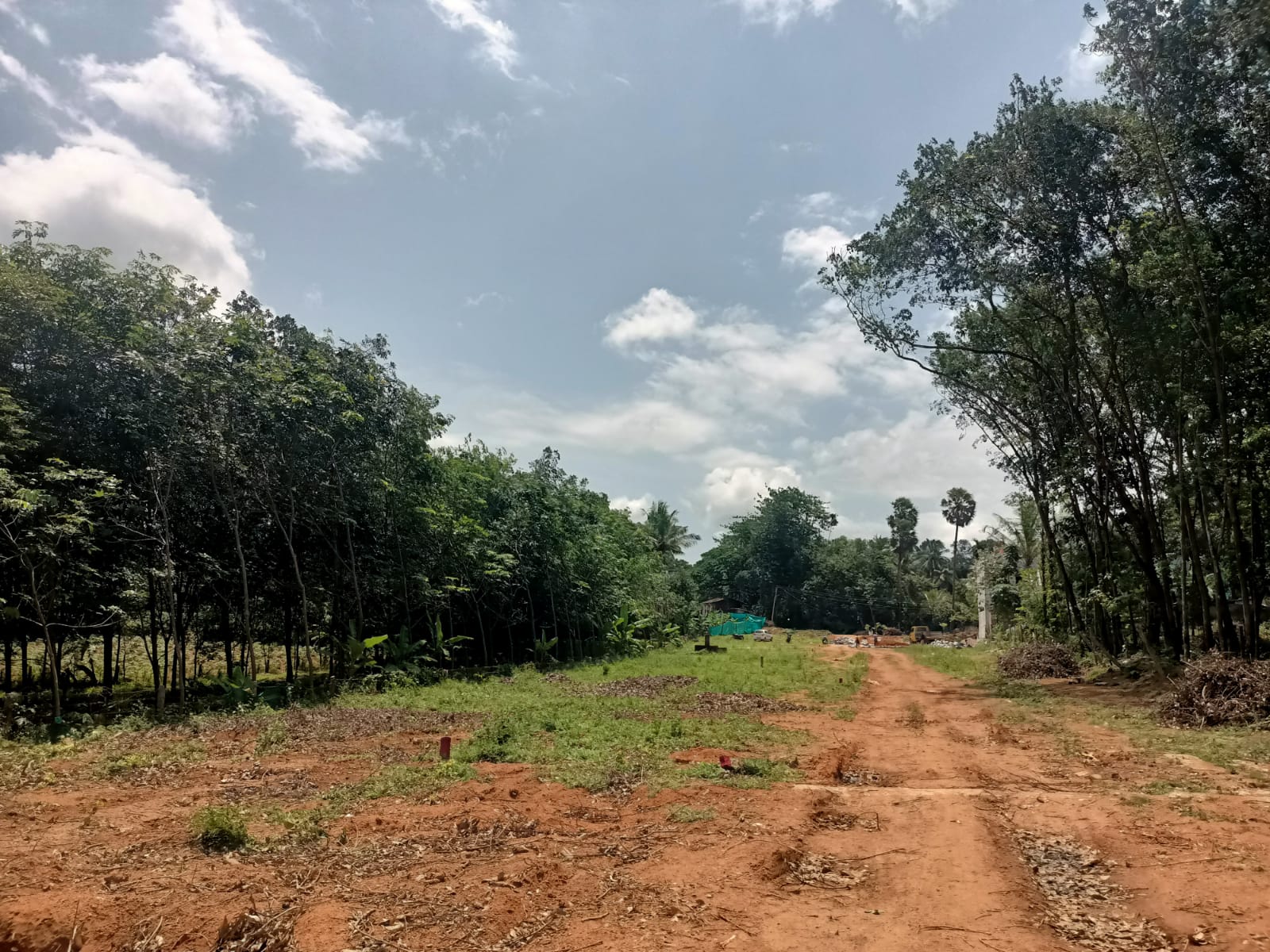 1.50 acres Residential plot for sale in  Thiruvarambu