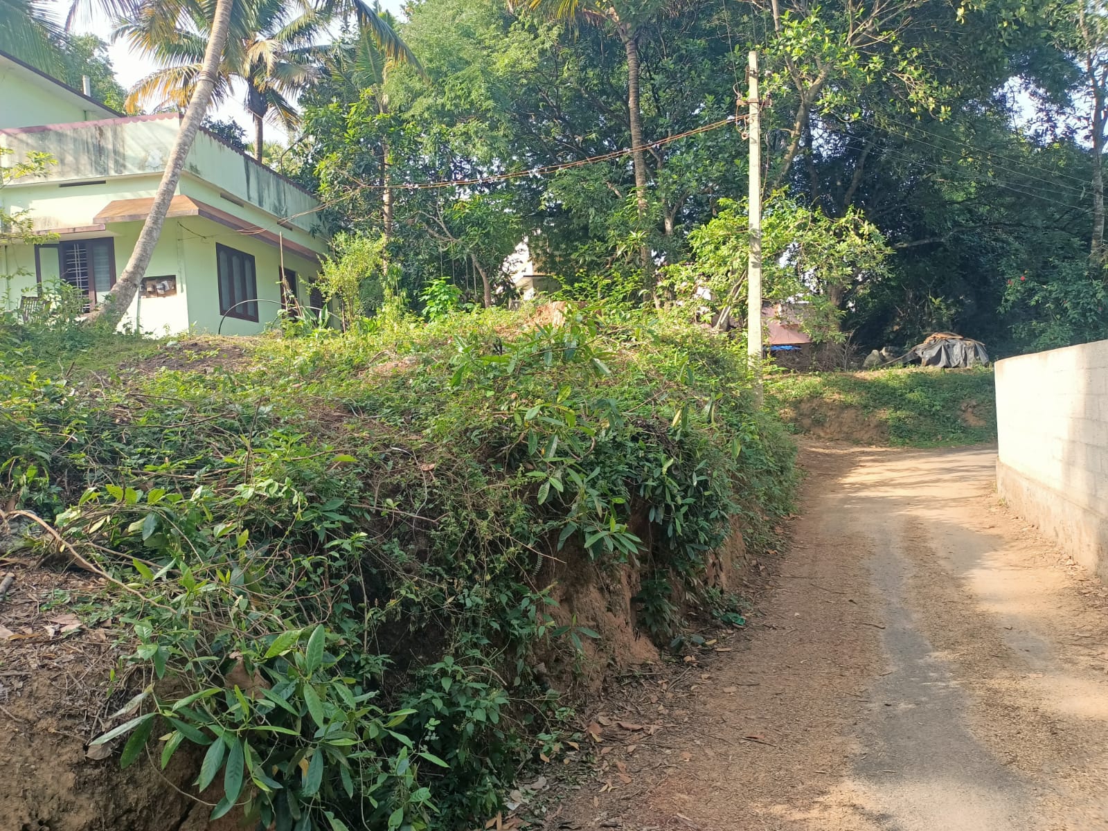 10 Cent Residential plot for sale in Chennithottam