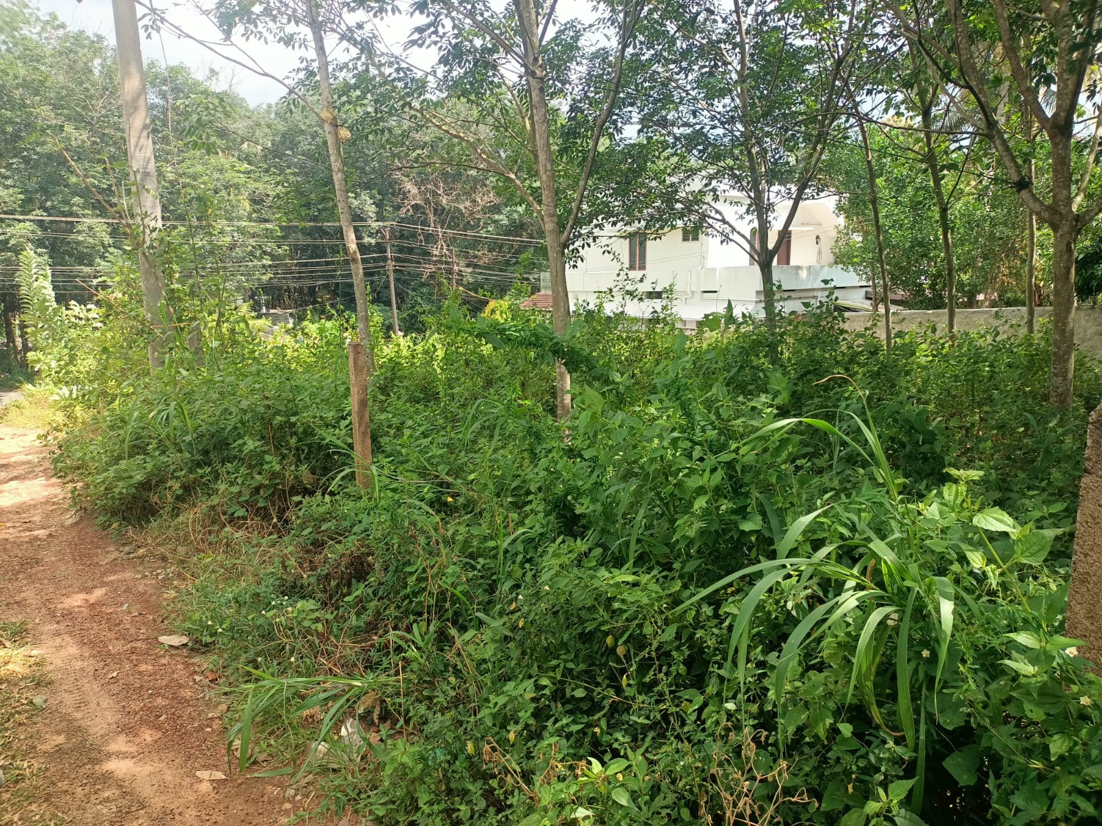 10 Cent Residential Plot For Sale In Kaliyal to Netta