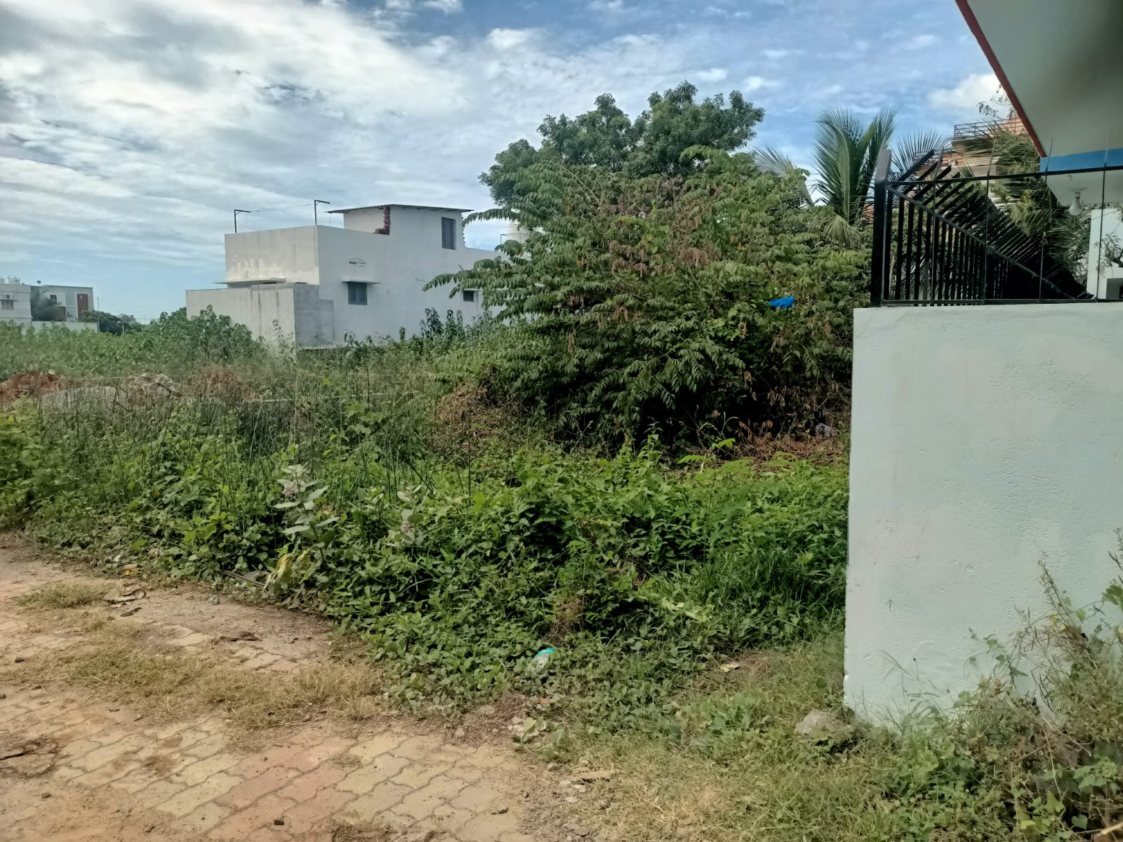 11 Cent  Residential  Plot for sale in  Nagercoil to Nanguneri Highway (Near 4 Lane Road)