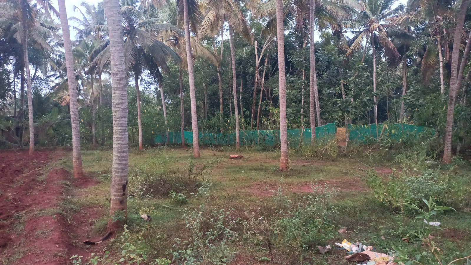 12 Cent Residential Plot for sale in  Centharai(Near Village Office)