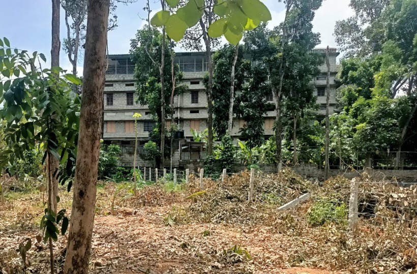 14 Cent Residential plot for sale in Kaliyal
