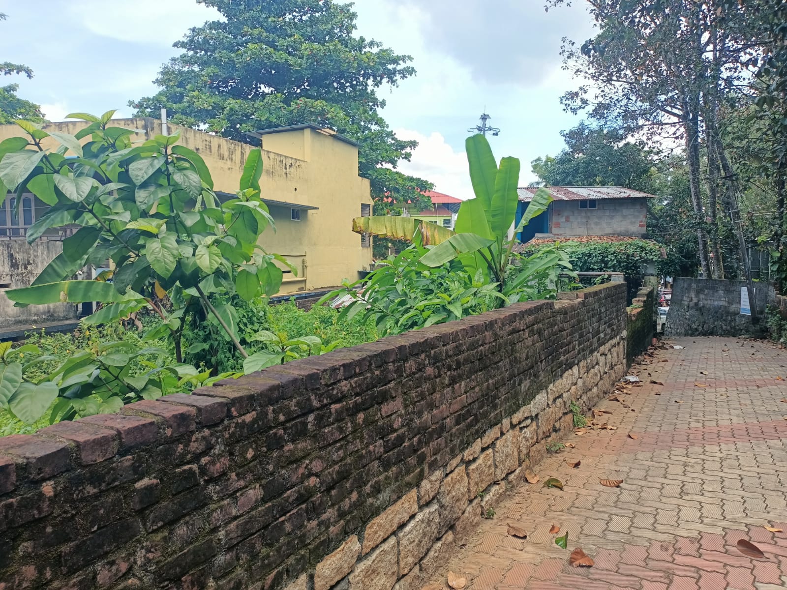 14 Cent Residential plot for sale in Thirparappu
