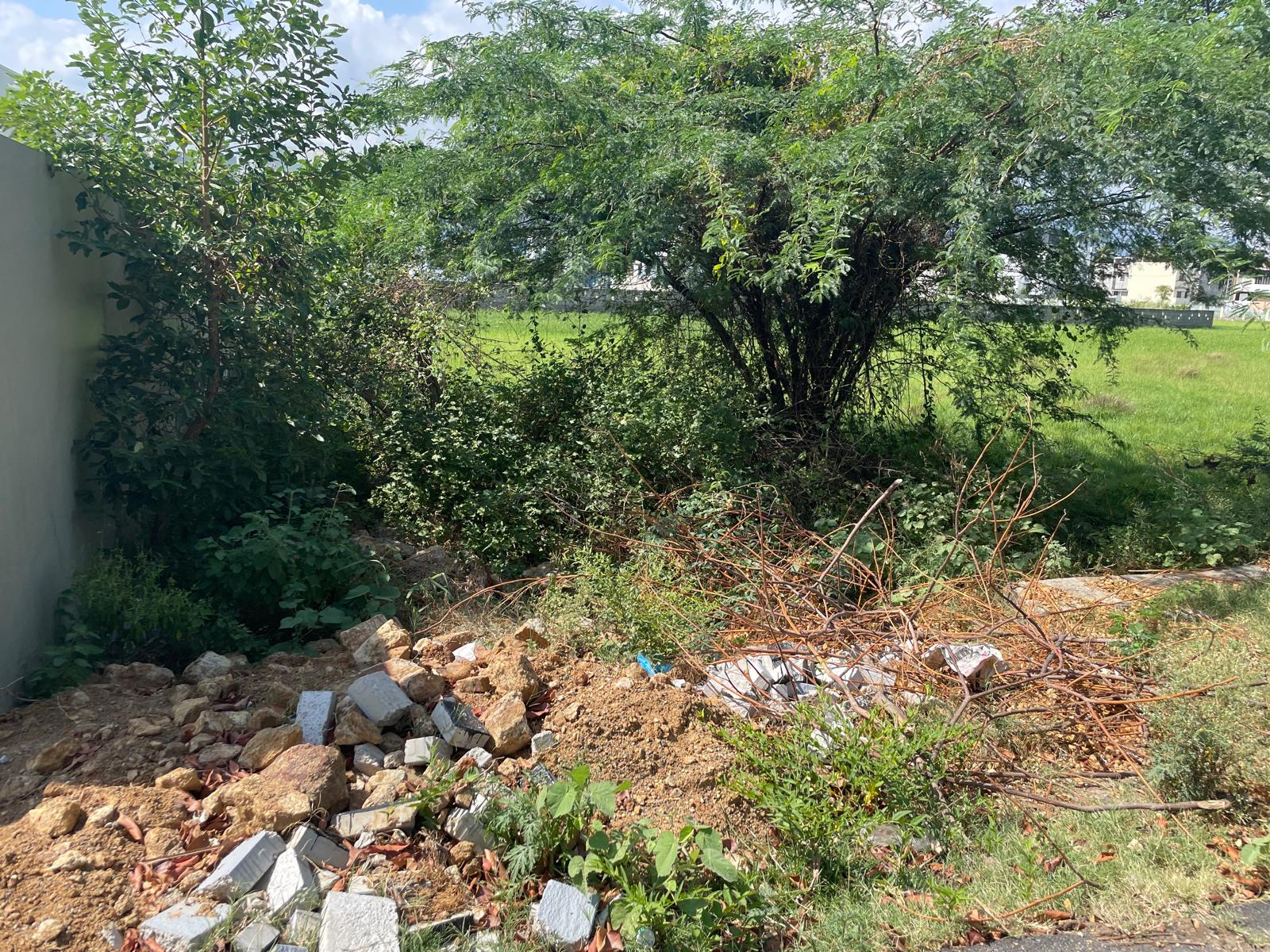 15 Cent Residential plot for sale in Mahalakshminagar Nagercoil
