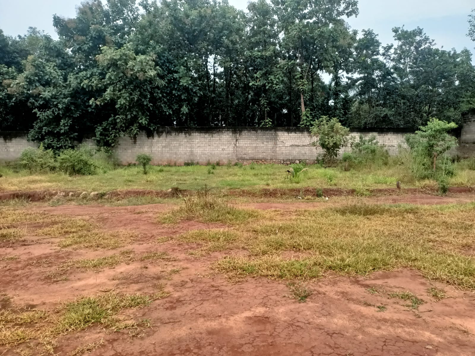 16.50 Cent Residential plot for sale in Karunkal -Kurumpanai Road