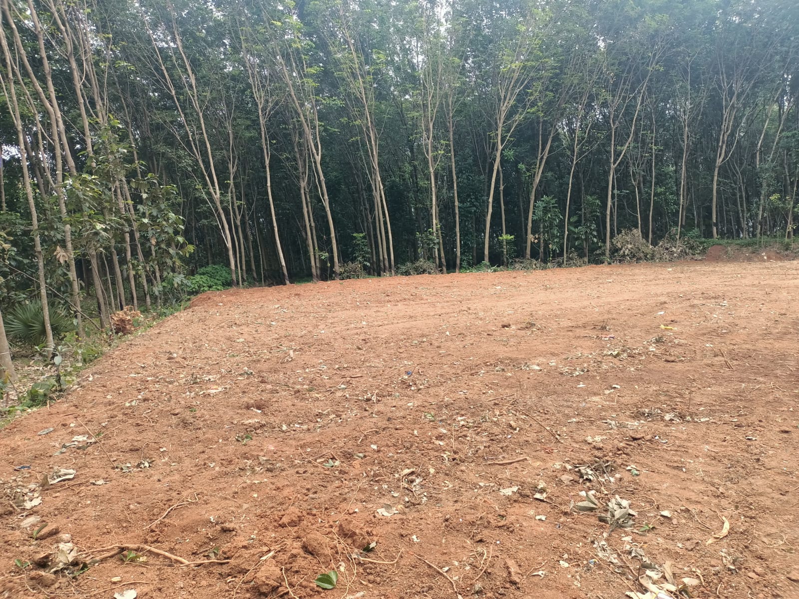 18 cent Residential plot for sale in  Gnaramvilai