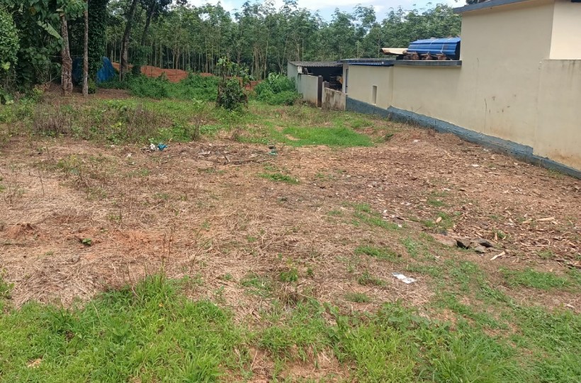18 Cent Residential Plot for sale in Thirparappu