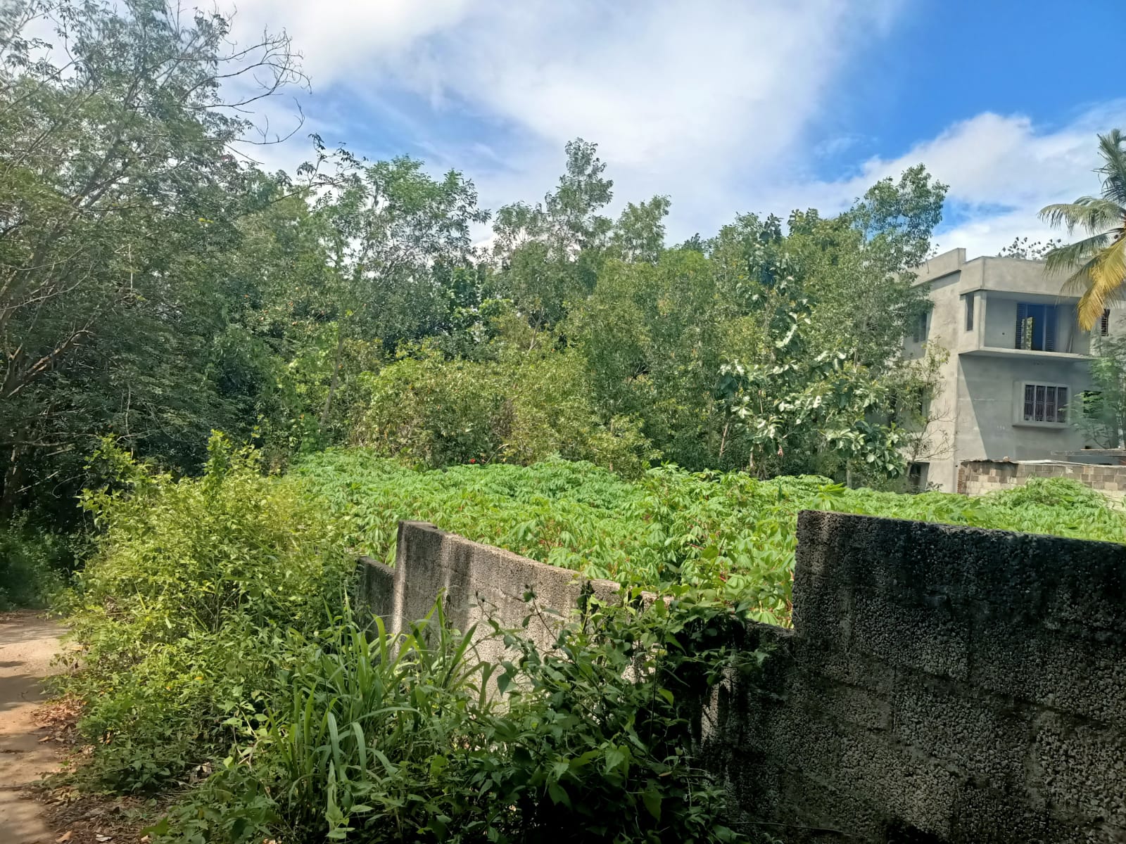 19 cent Residential plot for sale in Tholayavattam