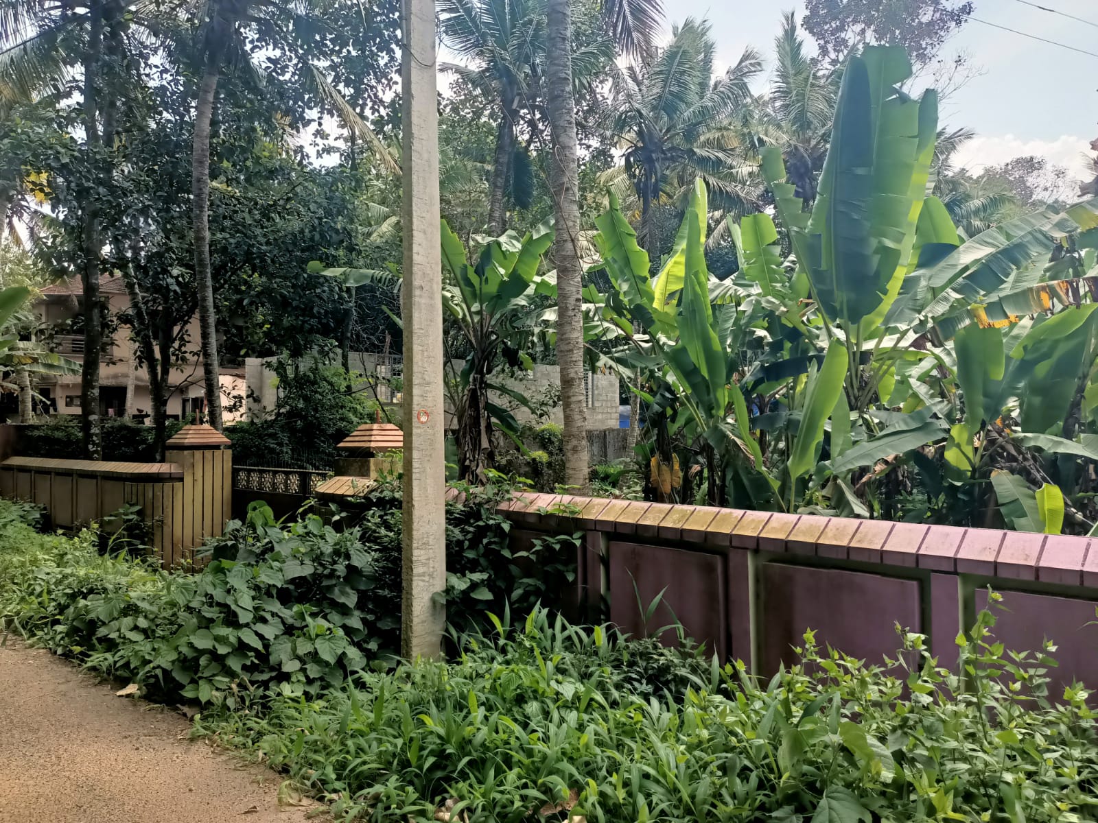 1  acre Agri (Banana Trees) & Residential Land for sale in Methukummal