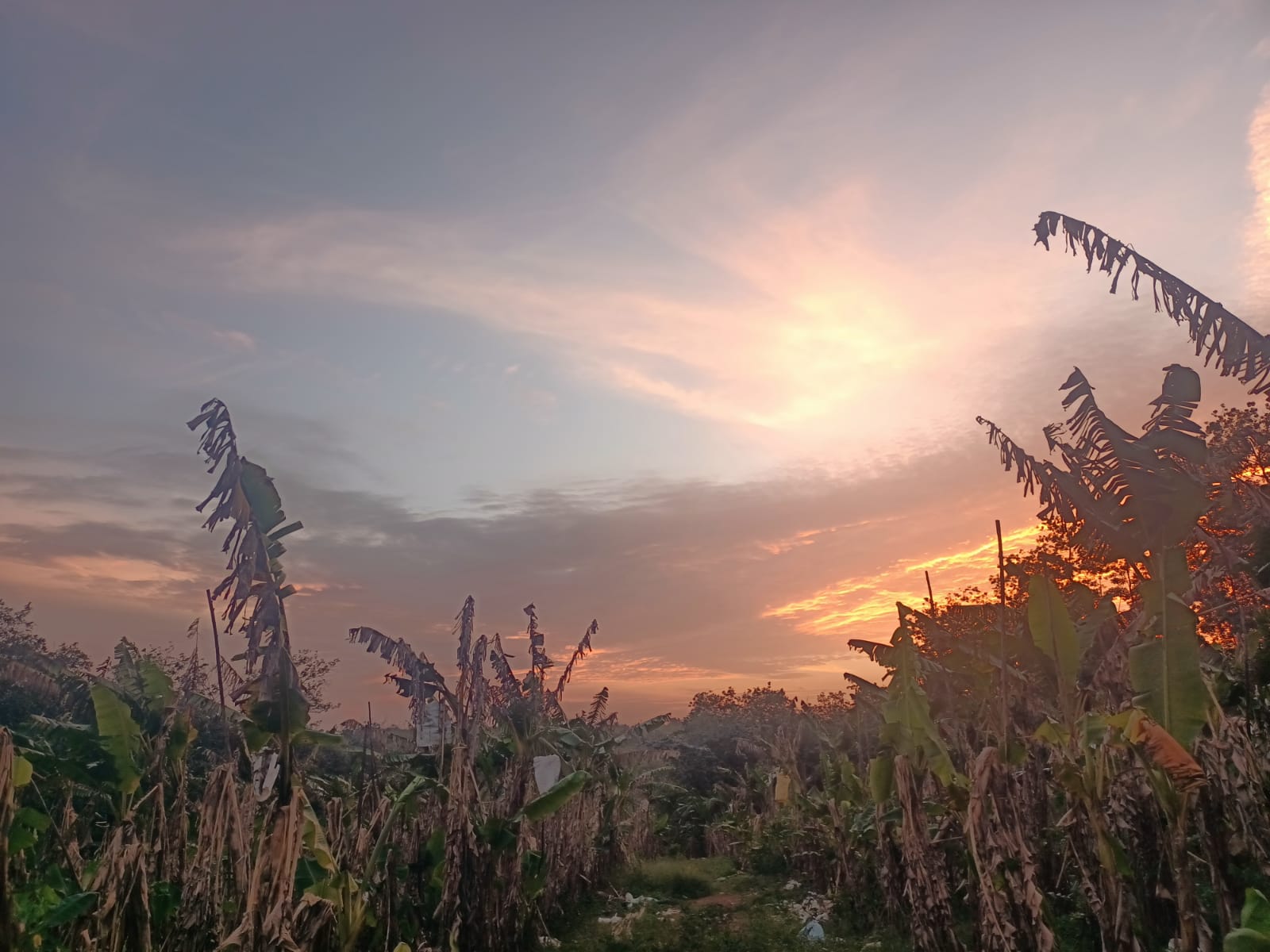 1 Acre Residential Plot for sale in Manalikarai