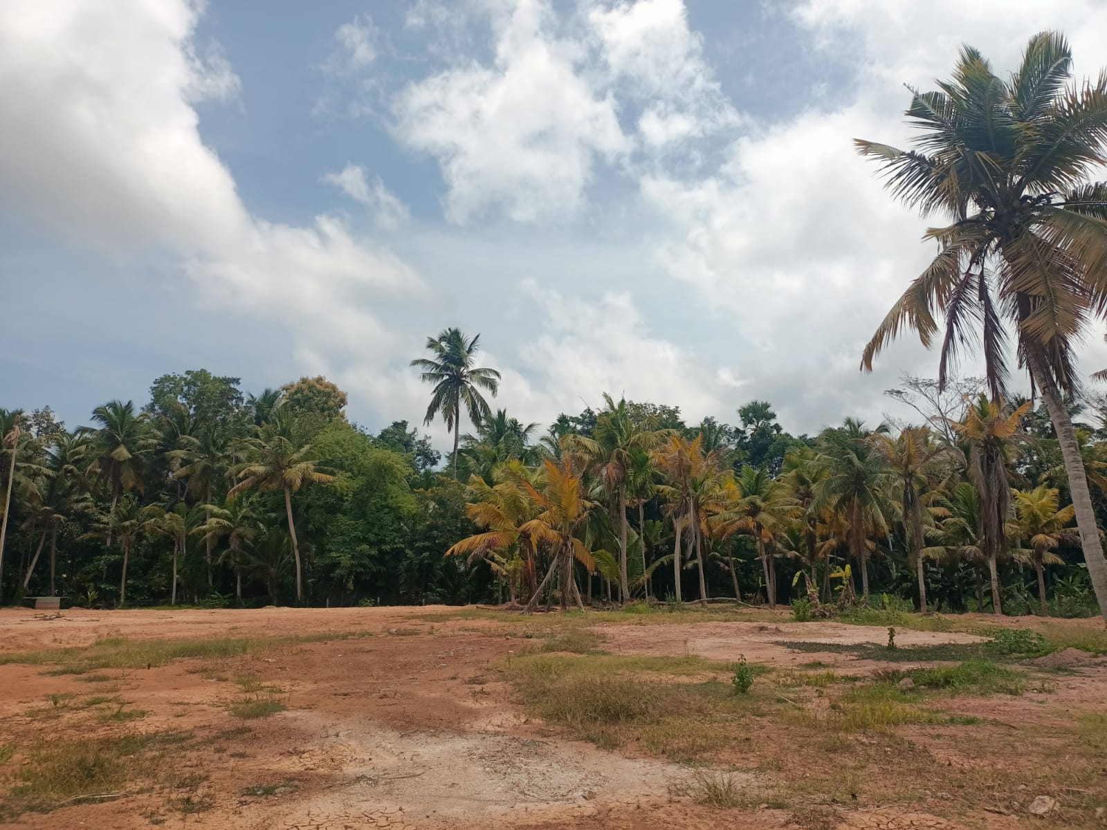 2.2 Acres Residential plot for sale in Athencode 4 Lane Road