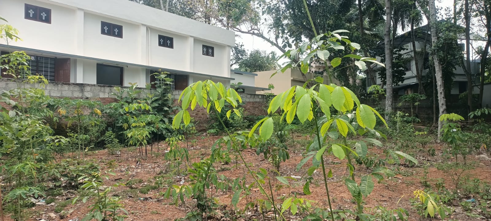 23 Cent Residential Plot For Sale In Aluvilai