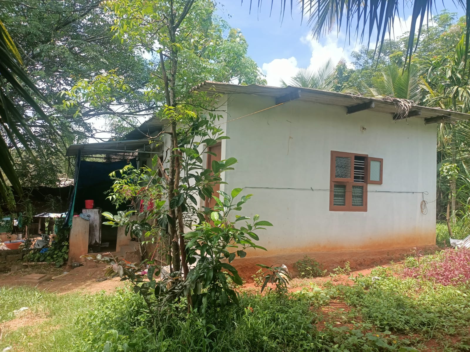 2 Acres 4.50  Cent Integrated Dairy Farm for sale in Kumarapuram