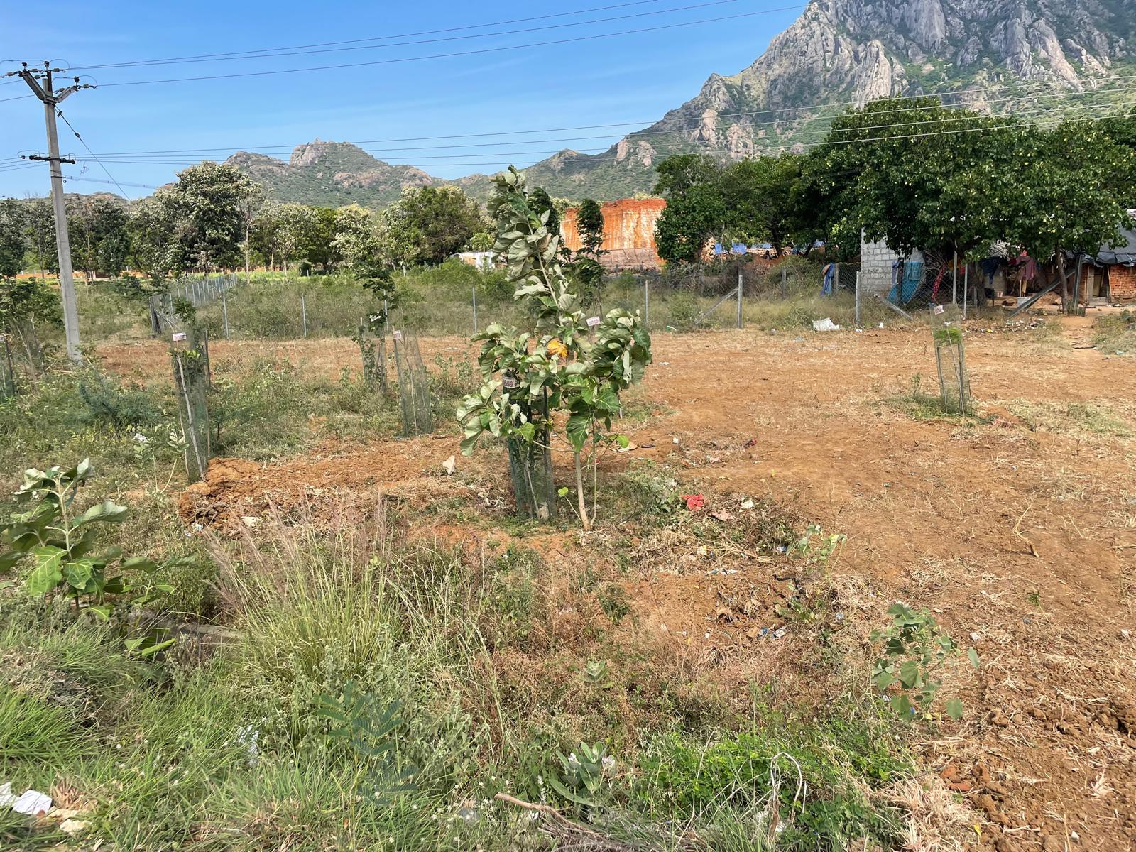 30 Cent Residential Plot for sale in Thovalai (KK ROAD 4 LANE )