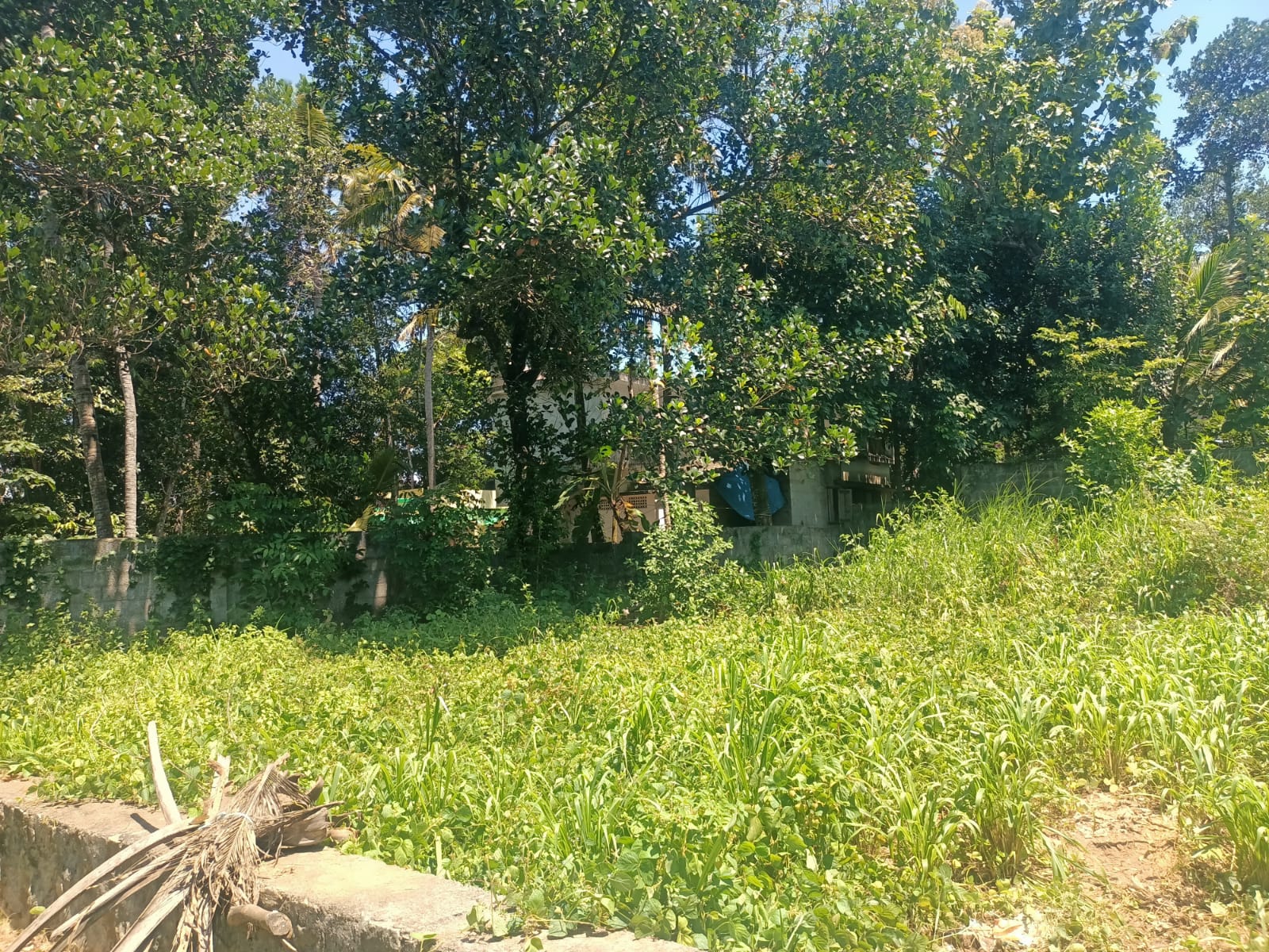 3 Cent Residential plot for sale in Thuckalay (Near GH Thuckalay)