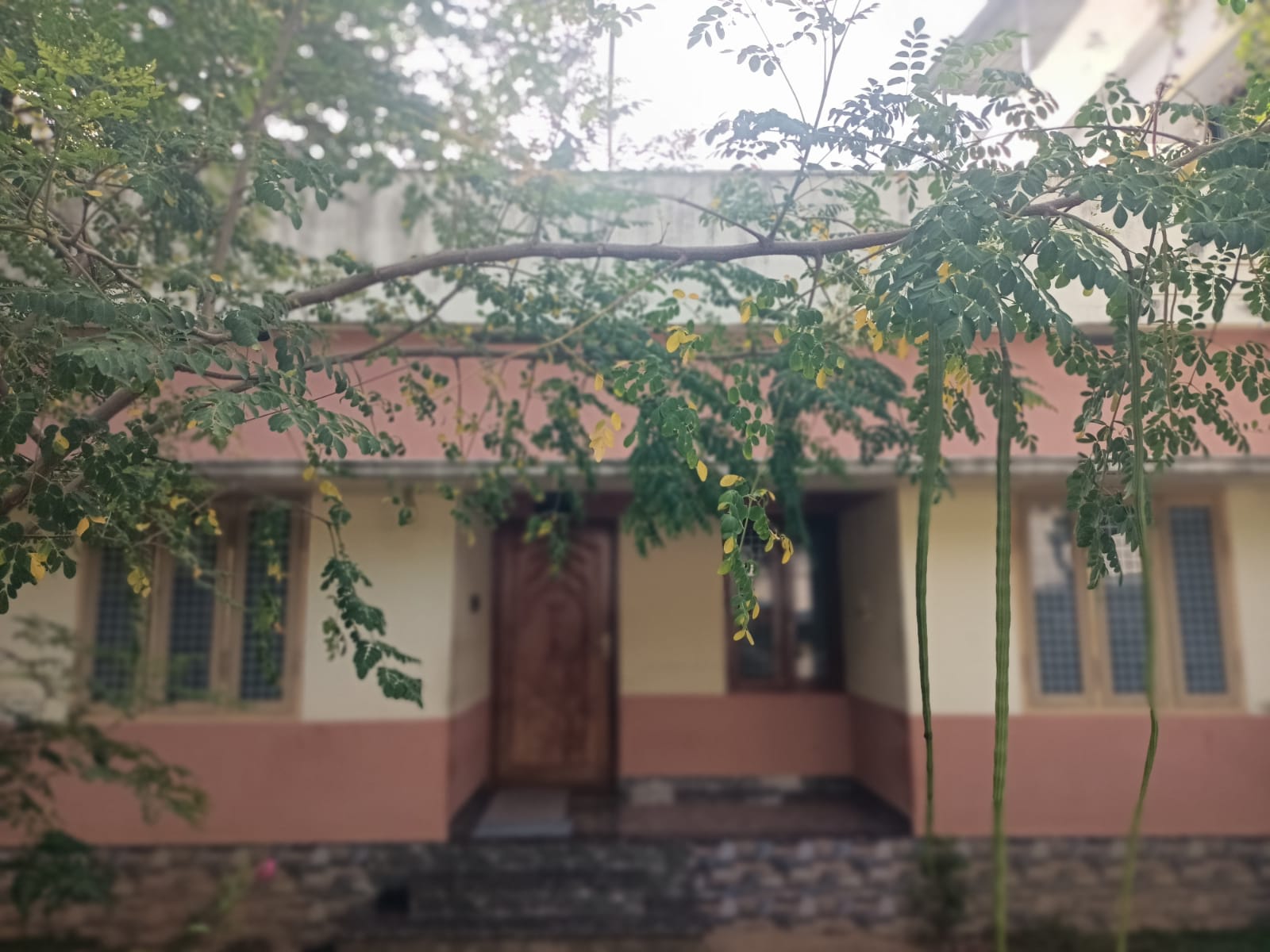 3BHK (7 cent) House for sale in Arumanai