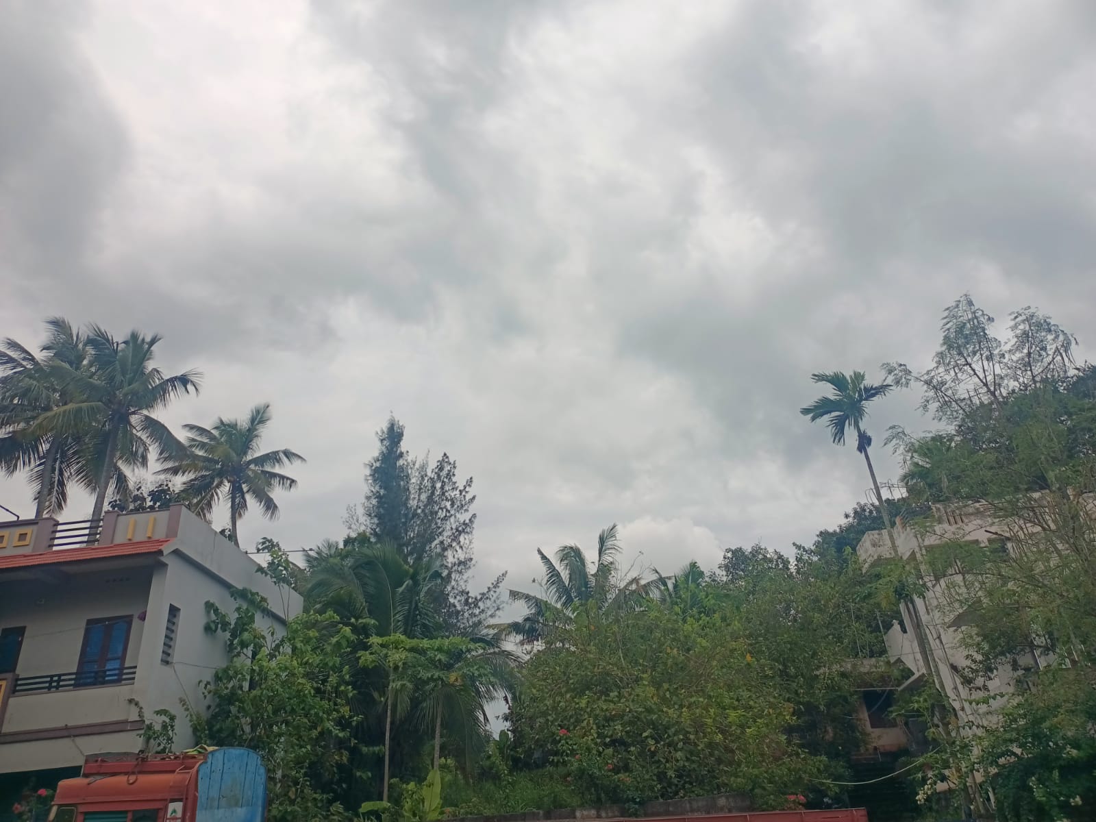 40 Cent Residential Plot for sale in Chirayankuzhi