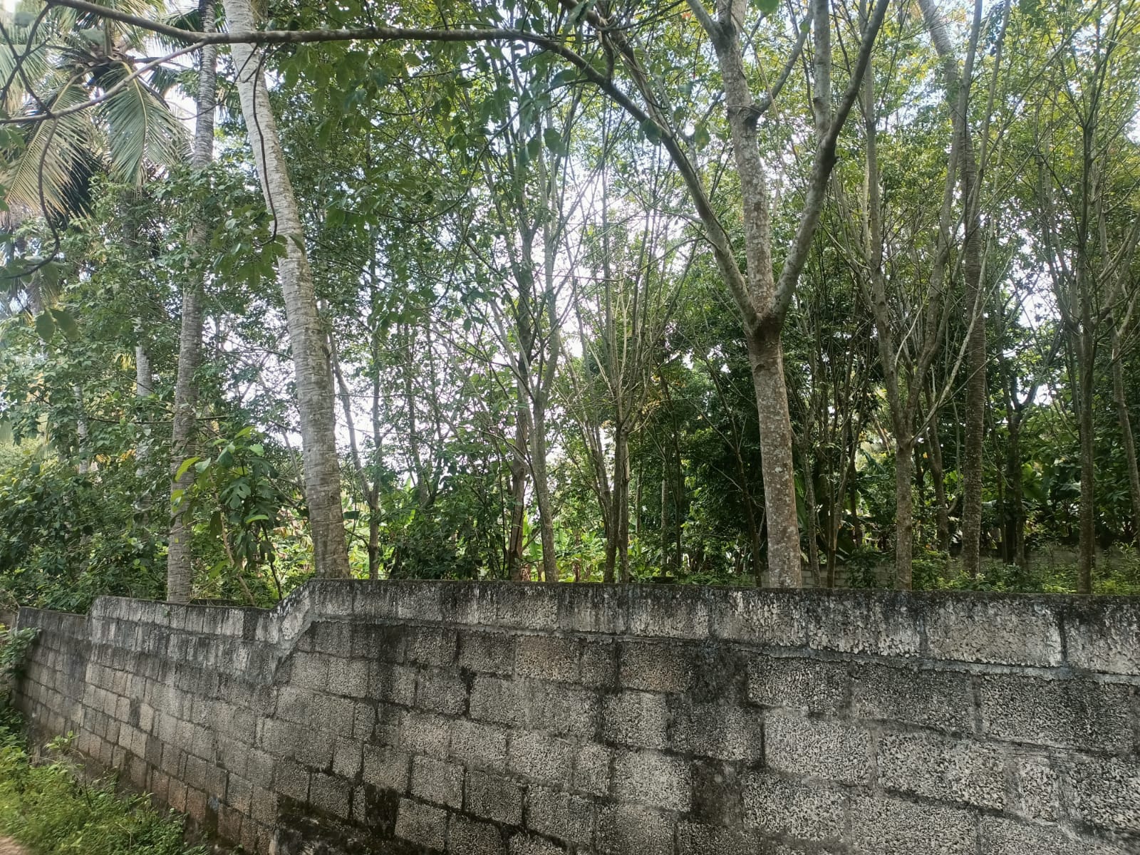 40 Cent Residential Plot for sale in  Ponnappanagar (Near 4 Lane Road)
