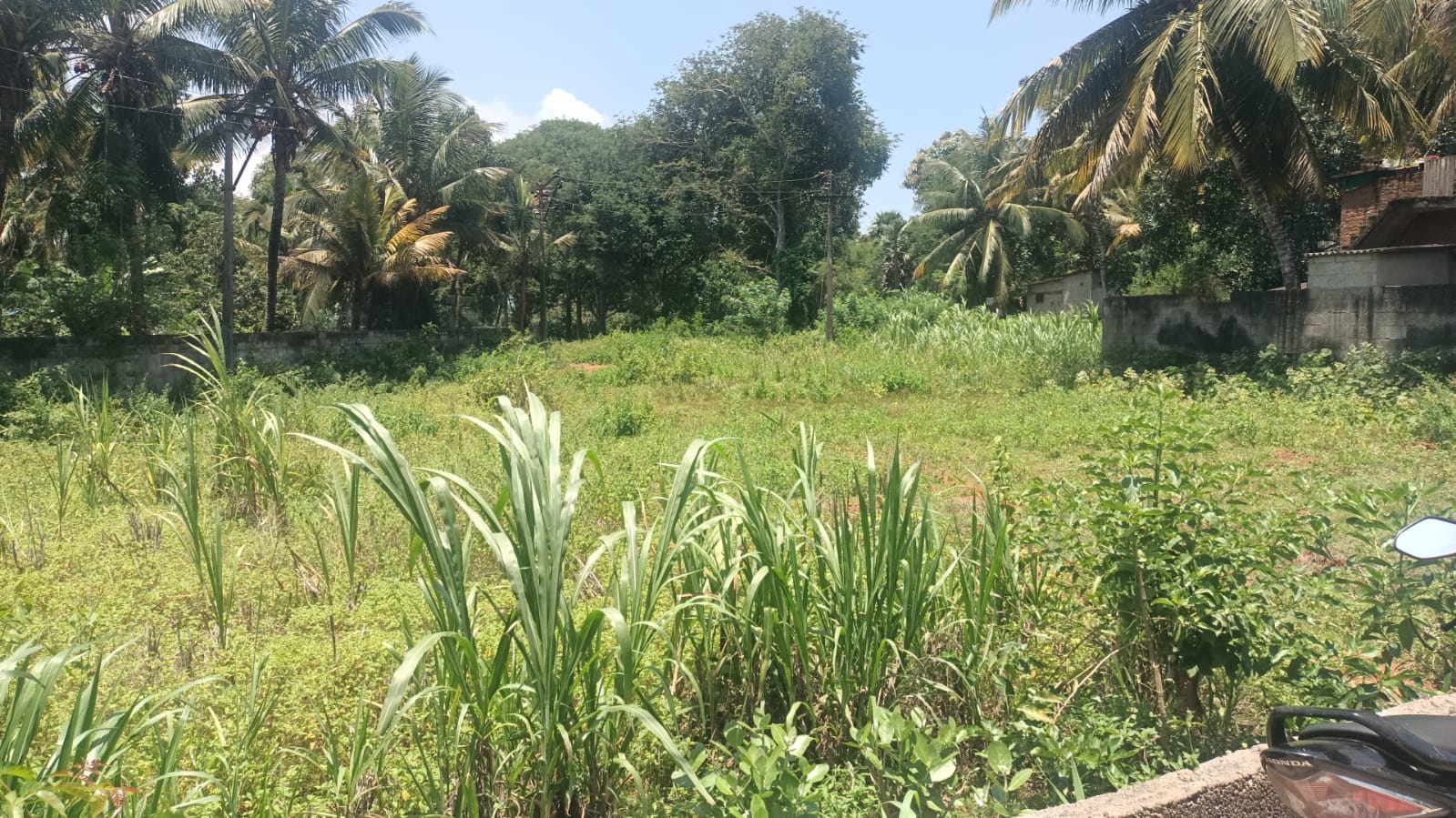 42 Cent Residential Plot for sale in Oottukuzhi
