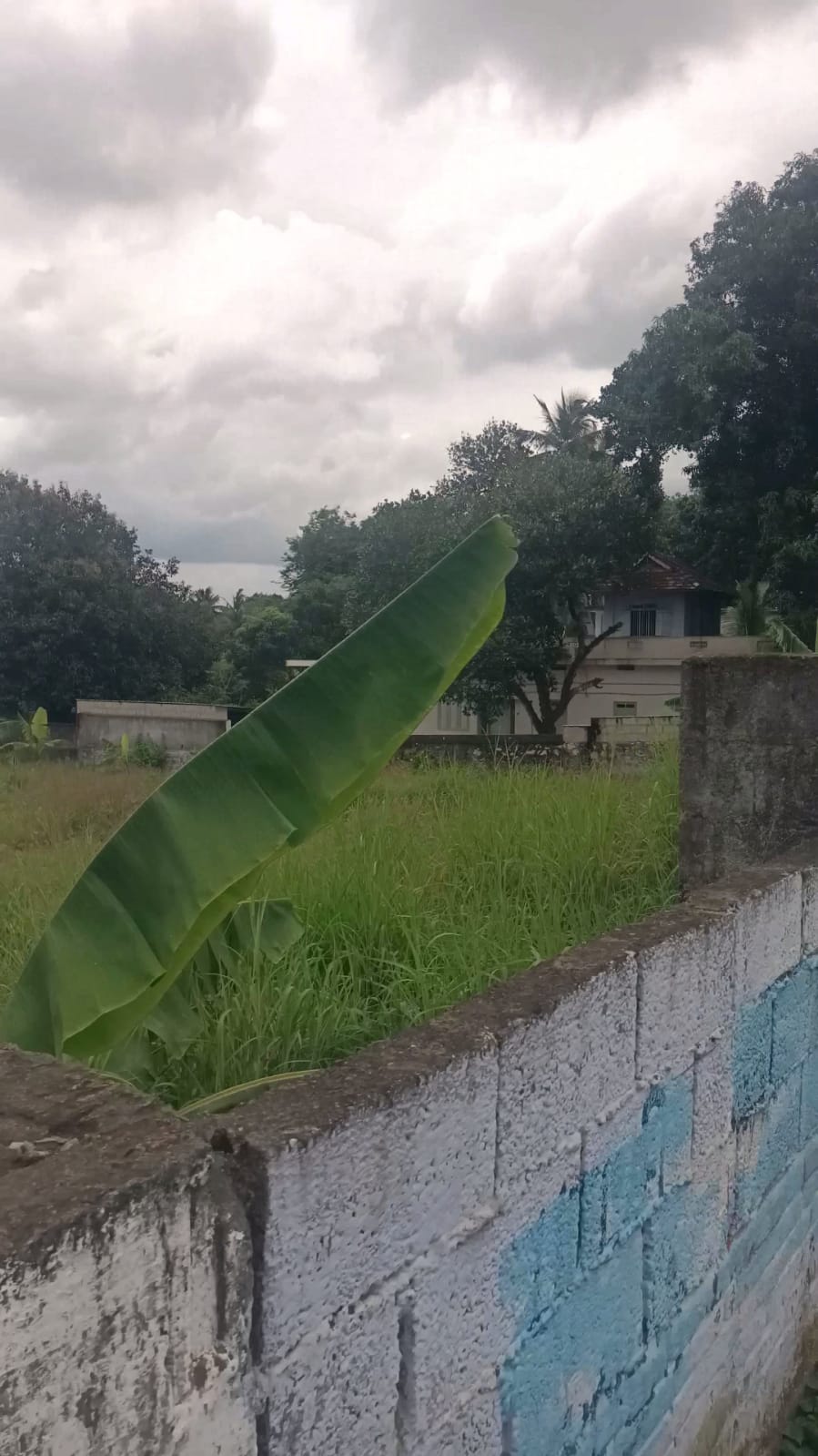 45 Cent Commercial Land for sale in Marthandam-Pammam-Kalluthotti