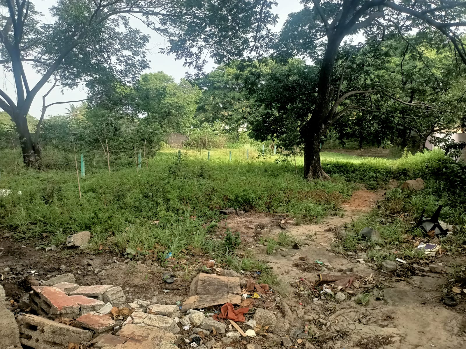 50 Cent Residential Plot For Sale in Chungankadai