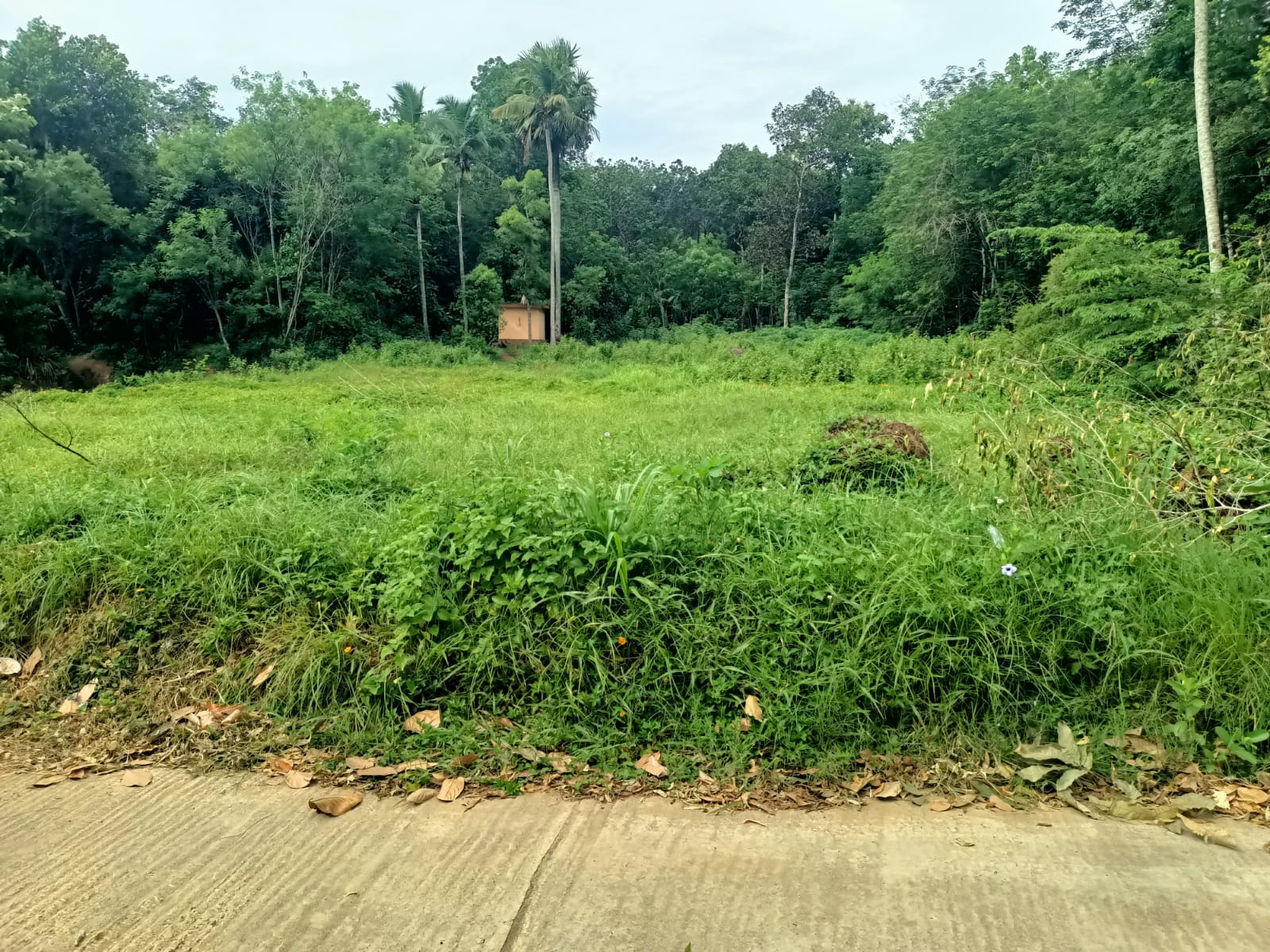 50 Cent Residential Plot for sale in  Murungavilai (Near Palliyadi 4 Lane Road)