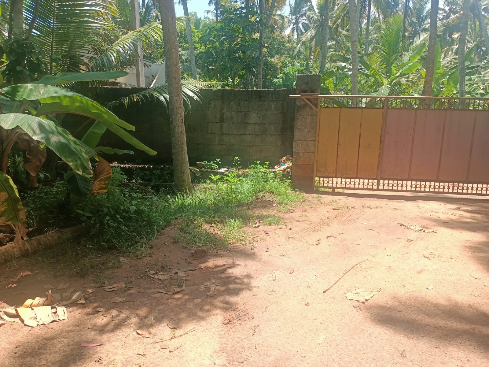 70 Cent Residential Plot for sale in Painkulam