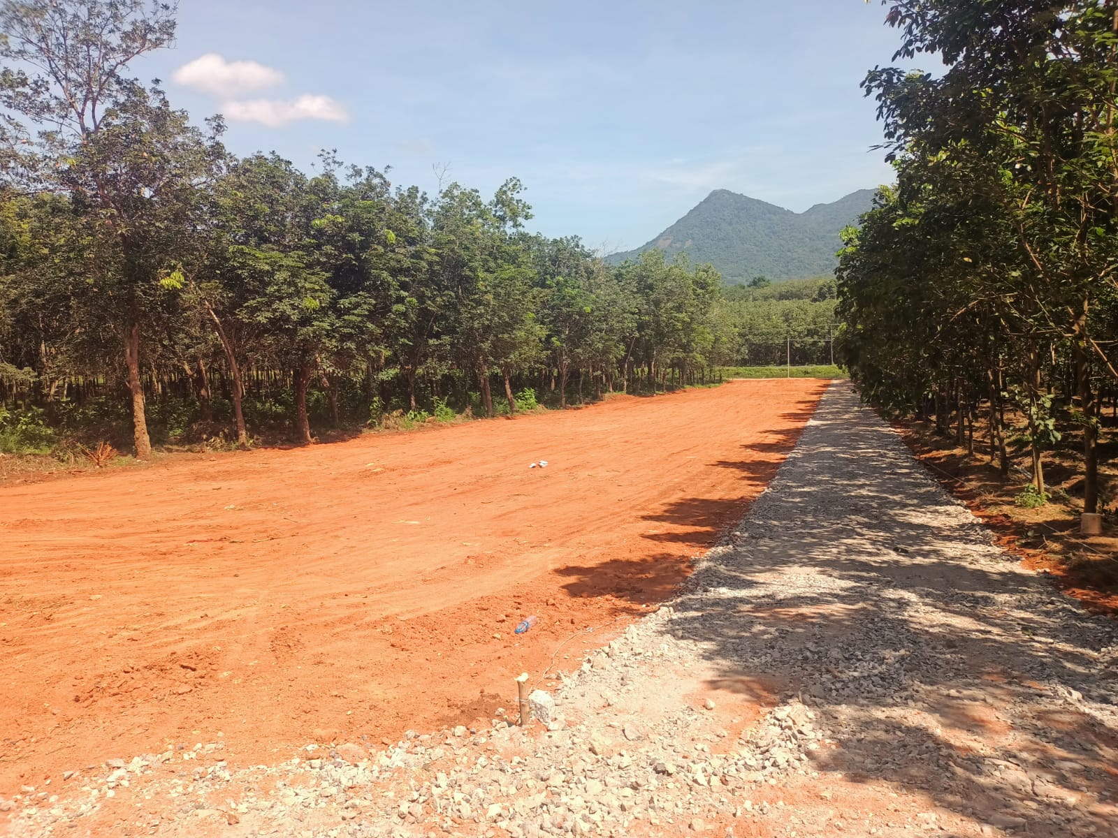 73 cent Residential plot for sale in Surulacode