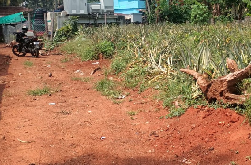 75 Cent Commercial Land for sale in Thirparappu (Near Thirparappu Water Falls)