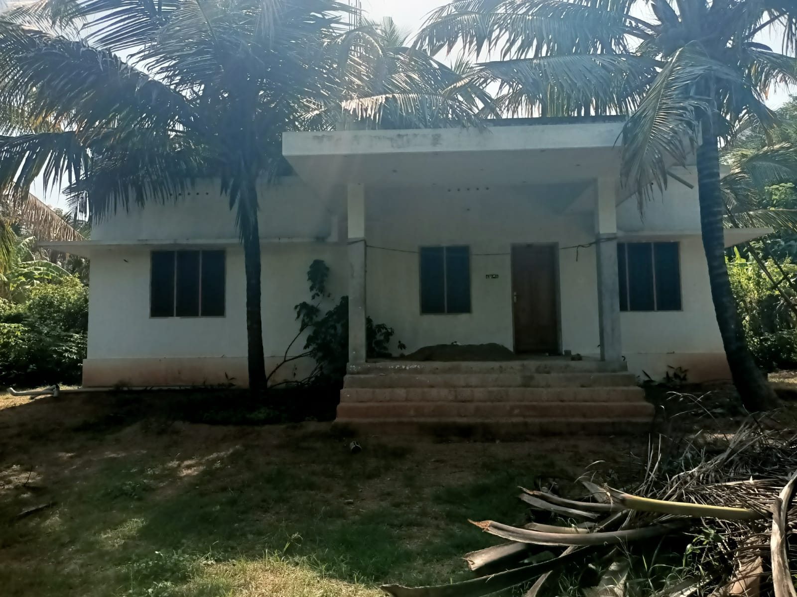 75 Cent Residential Plot for sale in Amsi
