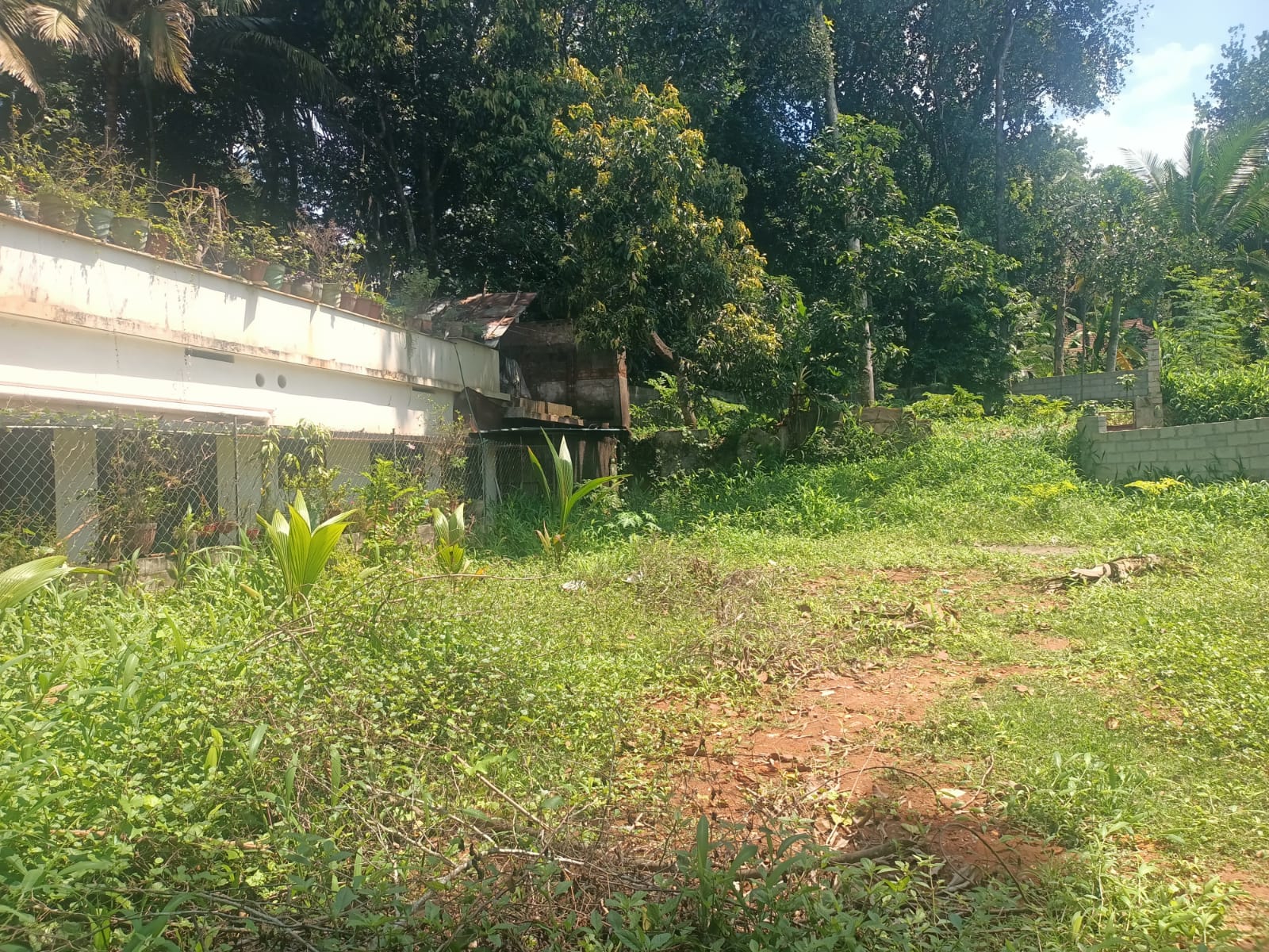 7 Cent Residential Plot for sale in Marthandam