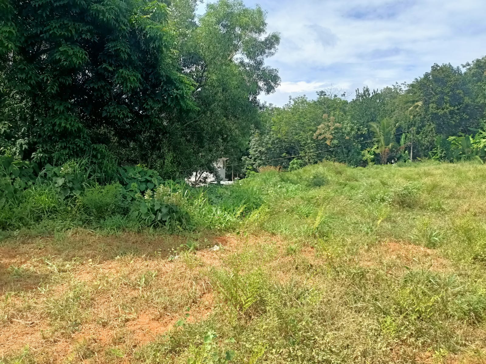84 cent Residential plot for sale in Ponnappanagar (Near 4 Lane  Road)