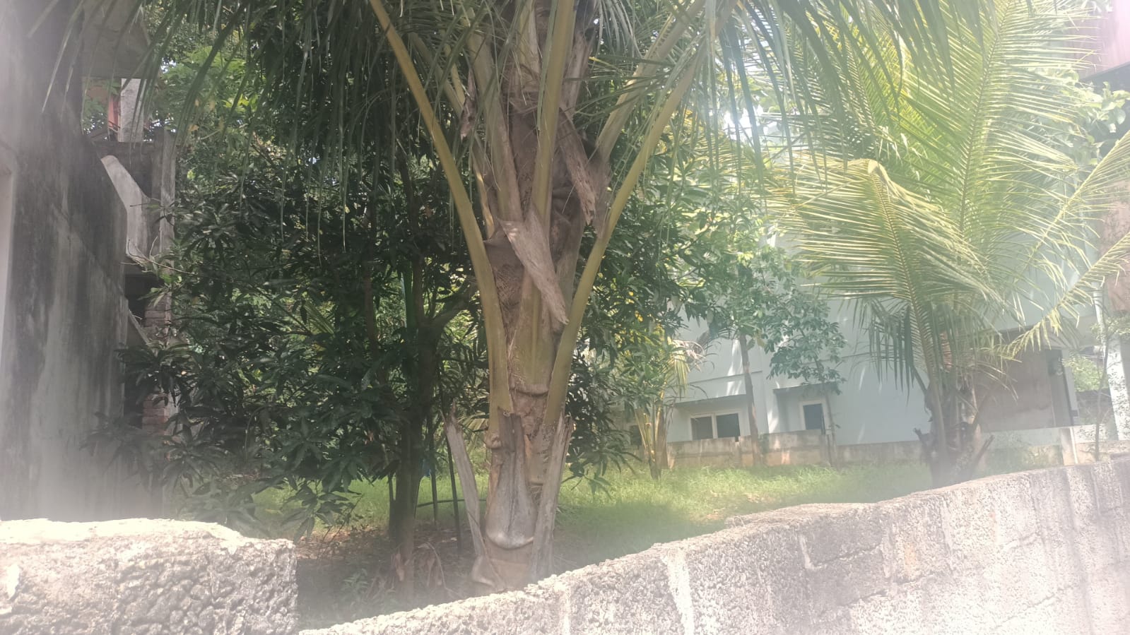 8 Cent Residential plot for sale in Marthandam