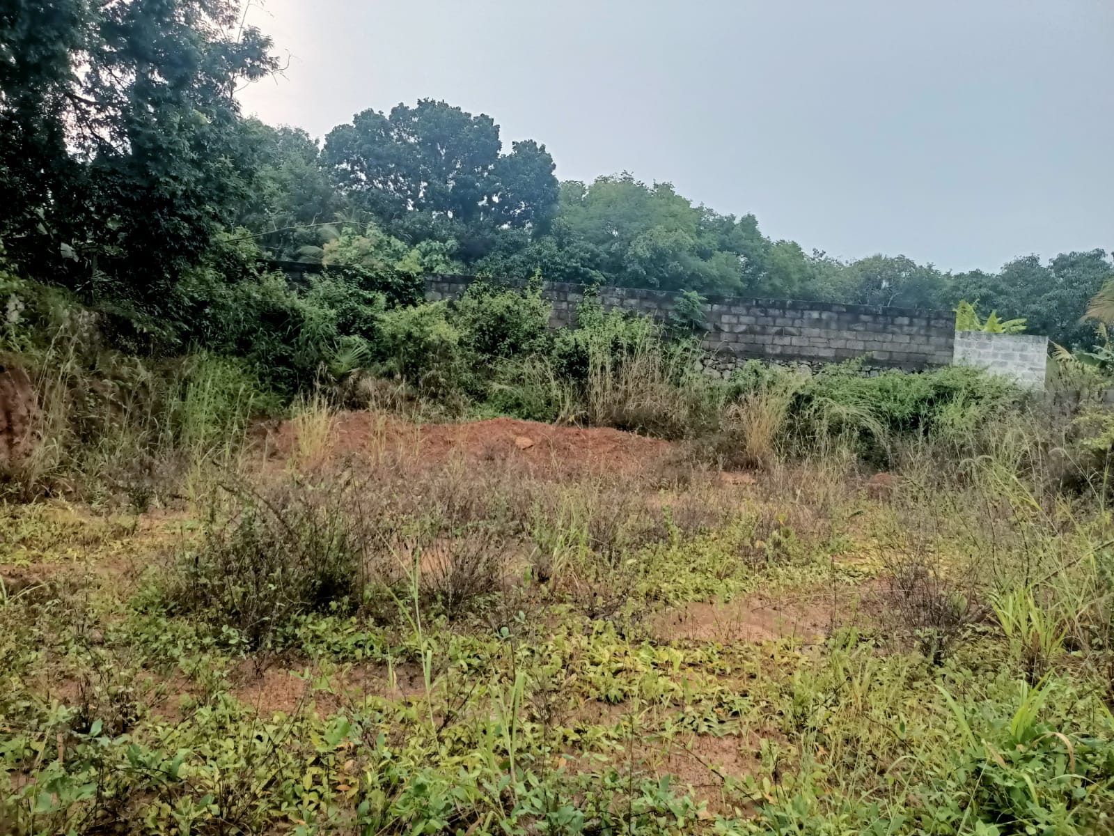 8 Cent Residential plot for sale in Moosari(Karunkal)