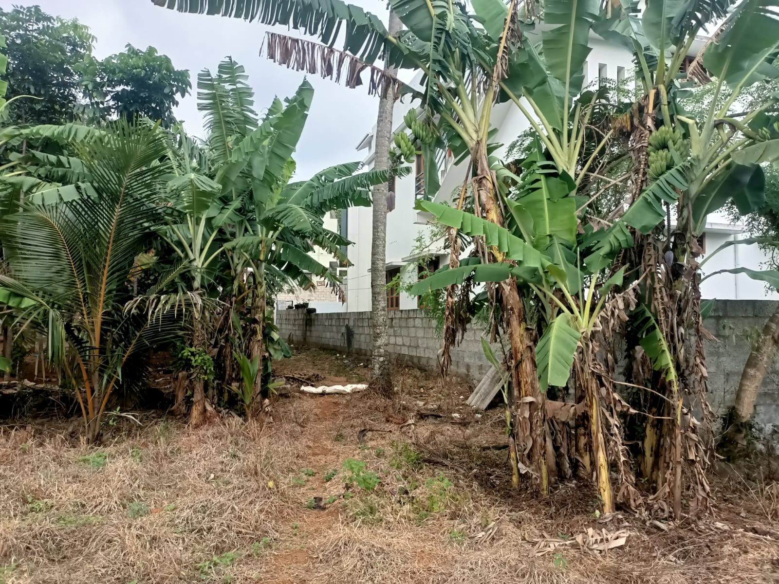 9.50 Cent Residential Plot for sale in Chithiramcode
