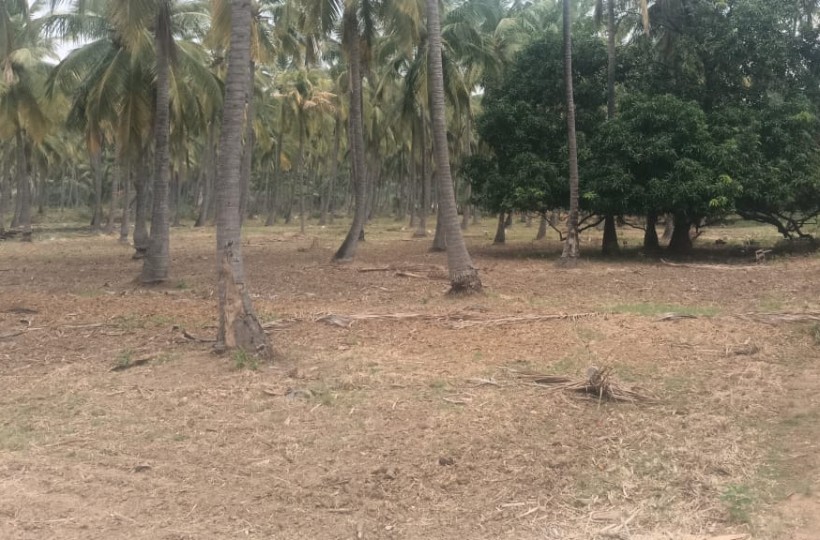 10 Acres Residential Plot for sale in Agatheeswaram.