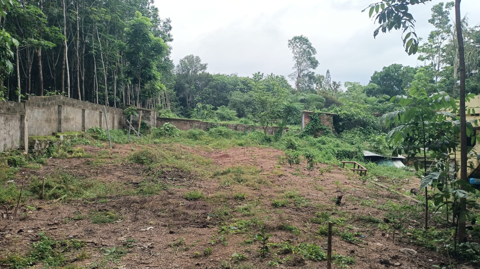 10 Cent Residential Plot For Sale In Arumanai