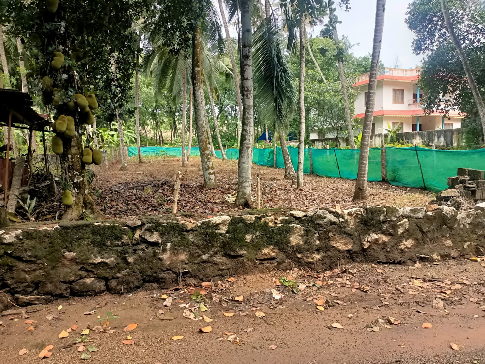 10 Cent Residential Plot For Sale In Kaliyal