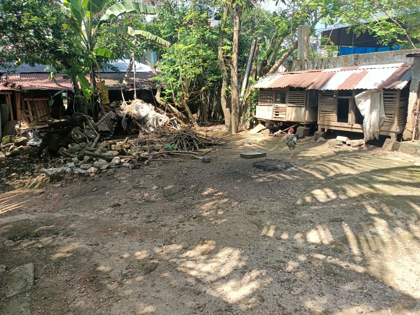 10 Cent Residential Plot for sale in Muzhucode
