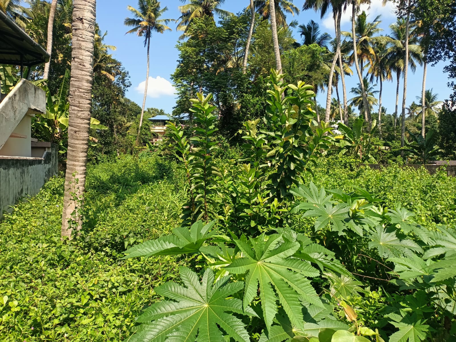 27 Cent Residential plot for sale in Marthandam