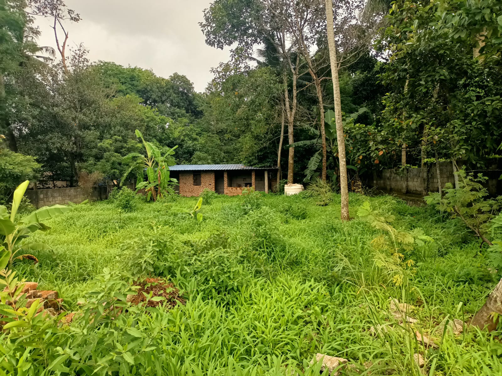 18 Cent Residential Plot for sale in Cheruvarakonam