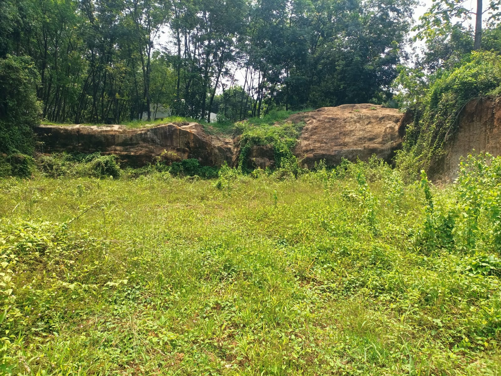 18 Cent Residential Plot for sale in Kaliyal