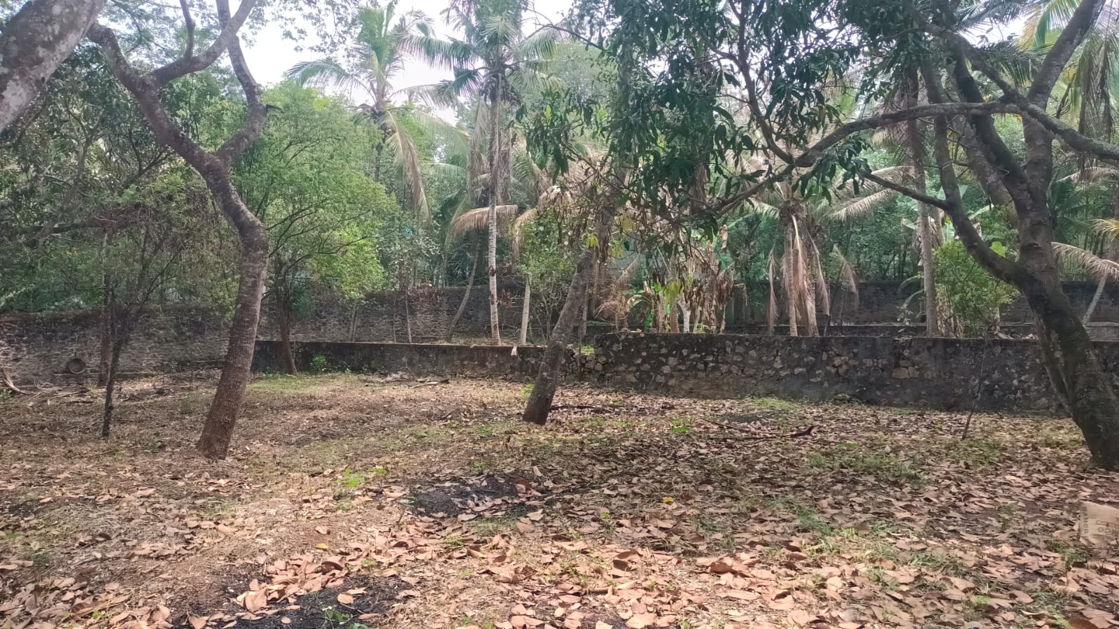 1 acre 35 cent Residential Plot for sale in Viricode