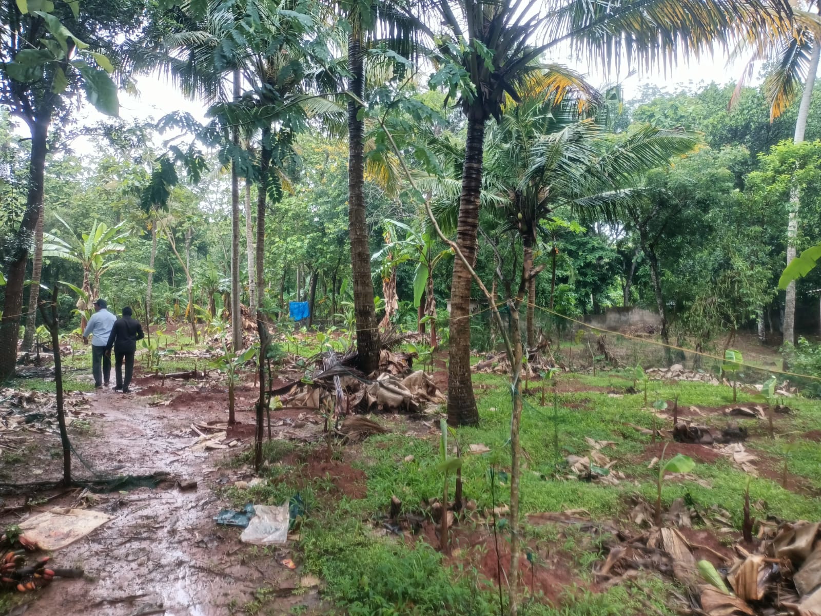1 Acre 50 Cent Residential Plot for sale in Thozhicode