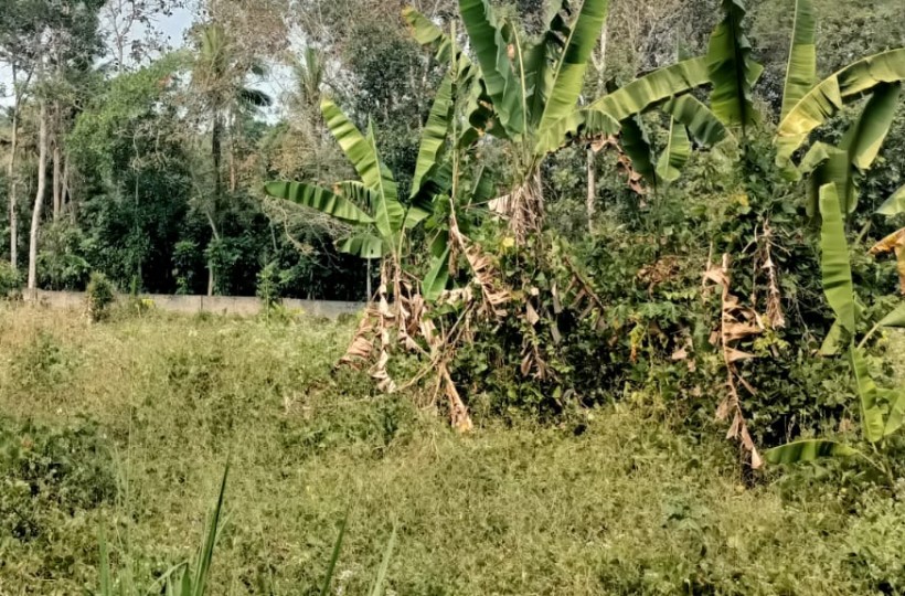 1 Acre 60 Cent Residential Plot for sale in Cheruvarakonam (Near 4-Lane Road)