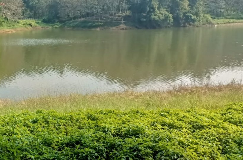 1 Acre of Commercial Property  for Sale Near Netta Busstand (Tamilnadu Kerala Border)