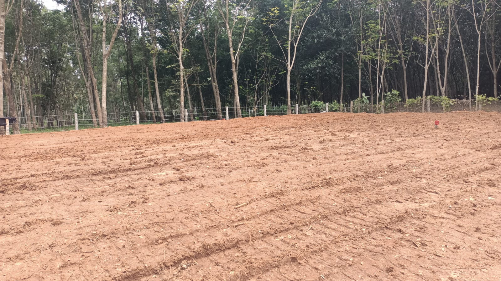 20 Cent Residential Plot for sale in  Ponmanai