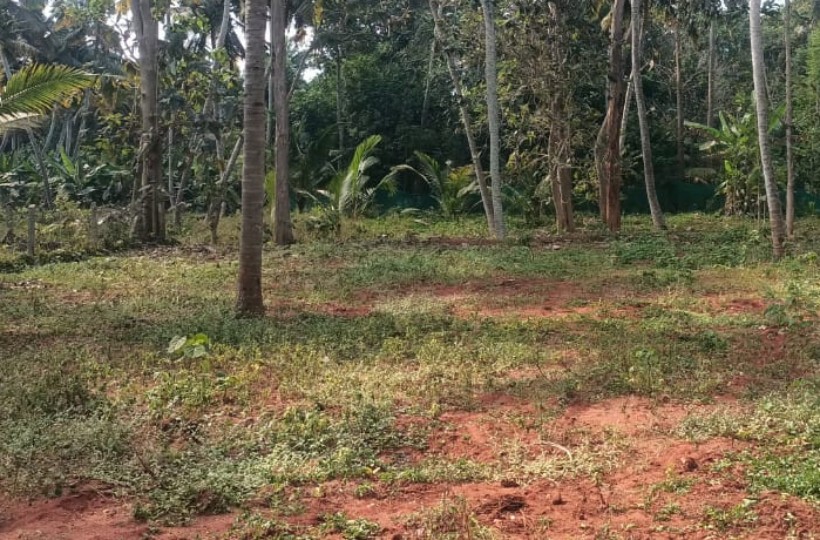 22 Cent Residential Plot for sale in Karumankoodal (Near Lakshmi Puram)