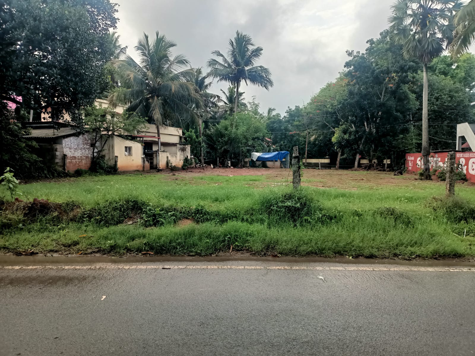 22 Cent Residential Plot For Sale In Palloor