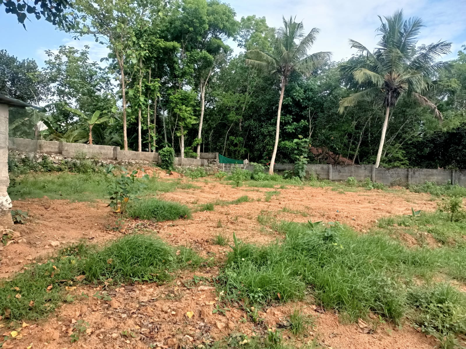 23 Cent Residential Plot For Sale In Ponappanagar